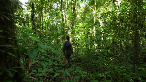 Woman-hiking-in-amazonian-forest-French-Guiana.-Beautiful-path-between-trees